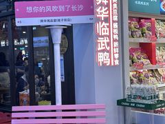 -舜华临武鸭·湖南零食特产(三王街店)