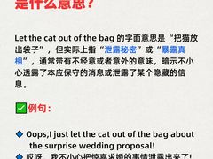 -I-Shine英语国际教育(御桥张江中心)