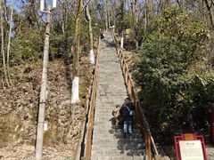 -云碧峰国家森林公园