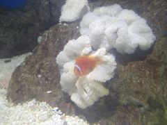 -福州罗源湾海洋世界旅游区