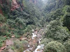-赤水丹霞旅游区·佛光岩