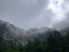 -重庆睡佛山森林公园