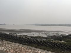 -江滩湿地公园