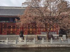 -香山公园