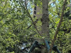 -木塔寺遗址生态公园