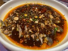 -铁公鸡·四川料理(天环广场店)