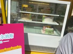 -维尔纳斯·生日蛋糕动物奶油冰淇淋蛋糕(人大店)