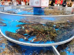 -济南富力凯悦酒店