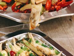 -苏州藏书羊肉(田东路店)