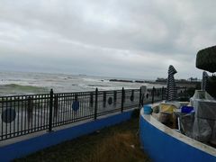 -海合安青岛极地海洋公园
