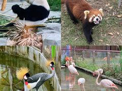 -灵玲国际马戏城