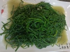 -靖远尕六美味羊羔肉