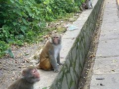-黔灵山公园