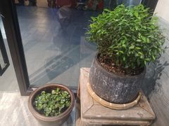 -囿面传统制面馆(中央路店)