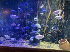 -华夏文旅海洋公园