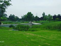 -两河城市森林公园