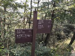 -含鄱口