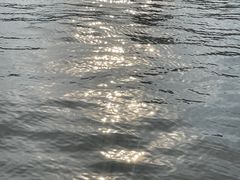 -迎泽公园