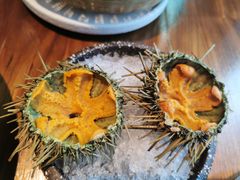 原只海胆-Mr·Fish鱼鲜生海鲜放题(银泰in99店)