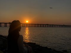 -宝安西湾红树林湿地公园