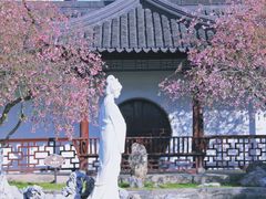 -莫愁湖公园