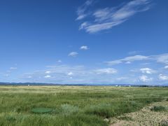 -敕勒川草原