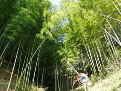-宁海安岚·南溪阁全日餐厅