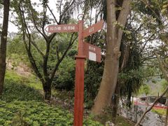 -中山市树木园
