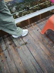 -钓虾工场·钓虾·赶海(回龙观店)