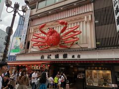 -蟹道乐(道顿堀本店)