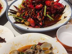 -杨氏青龙虾·羊蝎子(托乐嘉店)