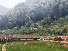 -听风阁农家私房菜茶楼(龙坞店)