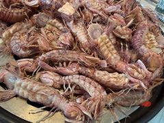 -半岛听涛蒸汽海鲜自助(K11店)