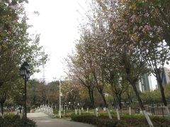 -映月湖公园