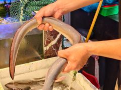 -长平肥姐白粥·海鲜打冷