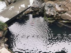 -胡雪岩故居