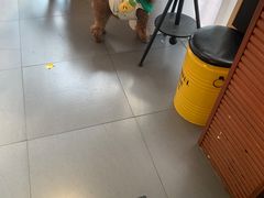 -Tim炒酸奶
