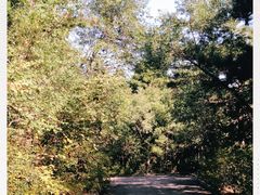 -沈阳辉山风景区