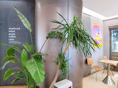 -PAOPAO Bakery&Café(港汇店)