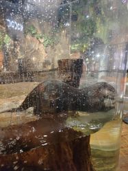 -Zoolung Zoolung动物主题公园(海信广场店)