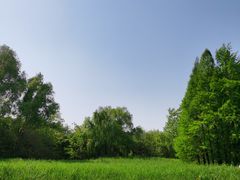 -溱湖国家湿地公园