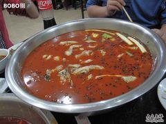 冷锅鱼-自贡好吃客(科华店)