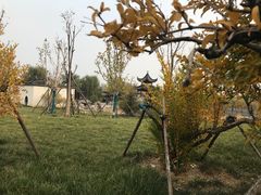 -水西公园