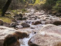 -芦芽山旅游度假区