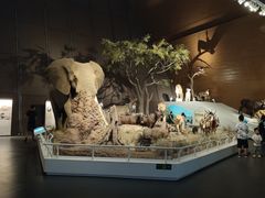 -贝林大翅鲸简餐厅(国家海洋博物馆店)