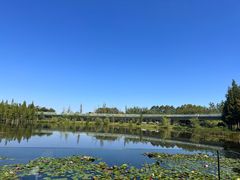 -白鹭湾湿地公园