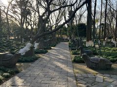-上海方塔园