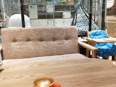 大堂-藏猫猫咖啡主题馆(中央大道店)