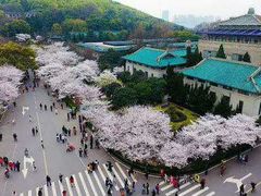-武汉大学-樱园