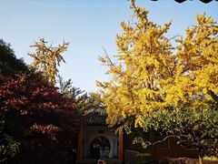 -北寺塔